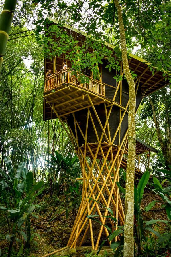 Eco Hotel Hacienda El Diamante Buga Exterior photo